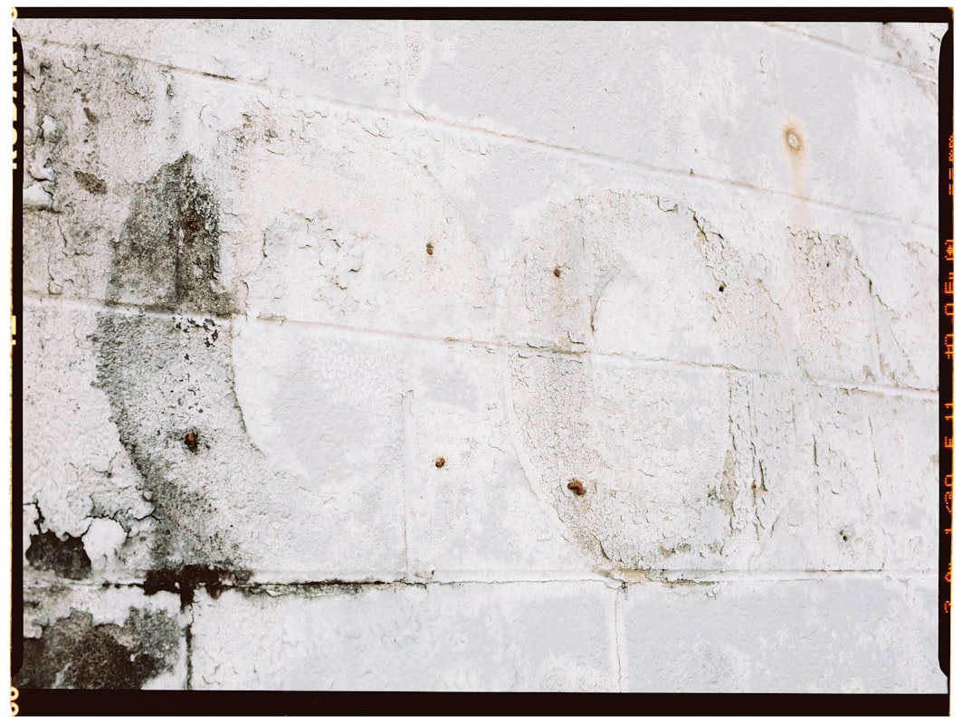 Storm Damage Repair service in Woodbury, MN