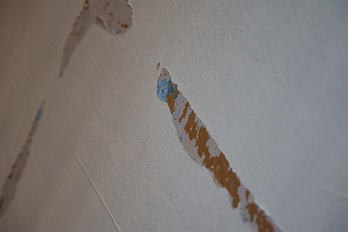 Basement Water Removal service in Woodbury, MN